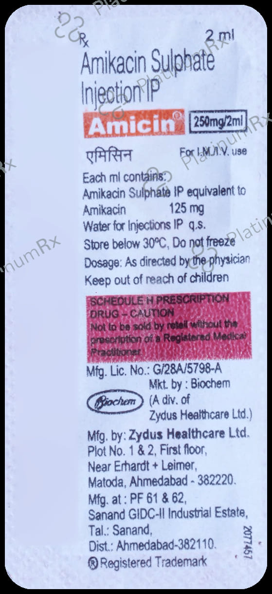 Amicin 250mg Injection 1s