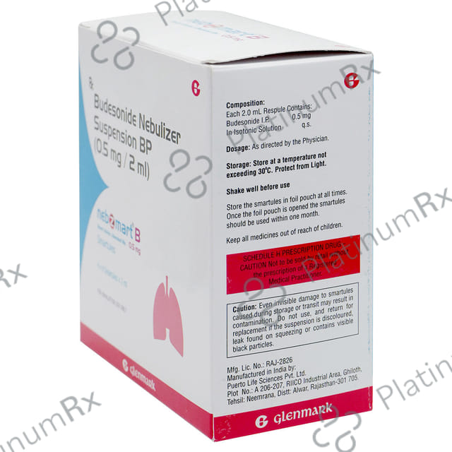 Nebzmart 0.5mg Respules 2ml