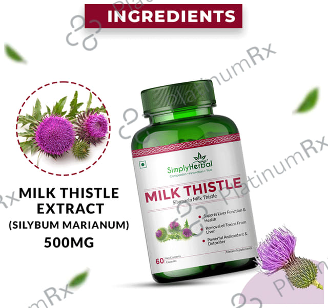Simply Herbal Milk Thistle Capsule