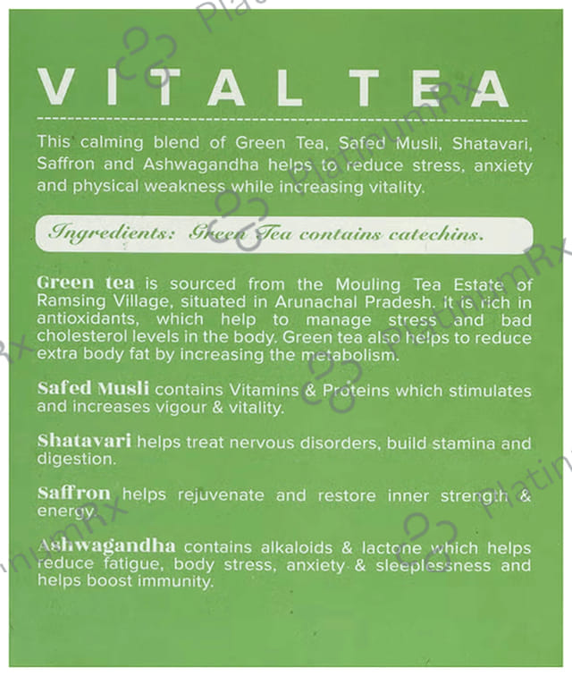 Baidyanath (Jhansi) Ayurvedant Vital-Tea Bag (2gm Each)