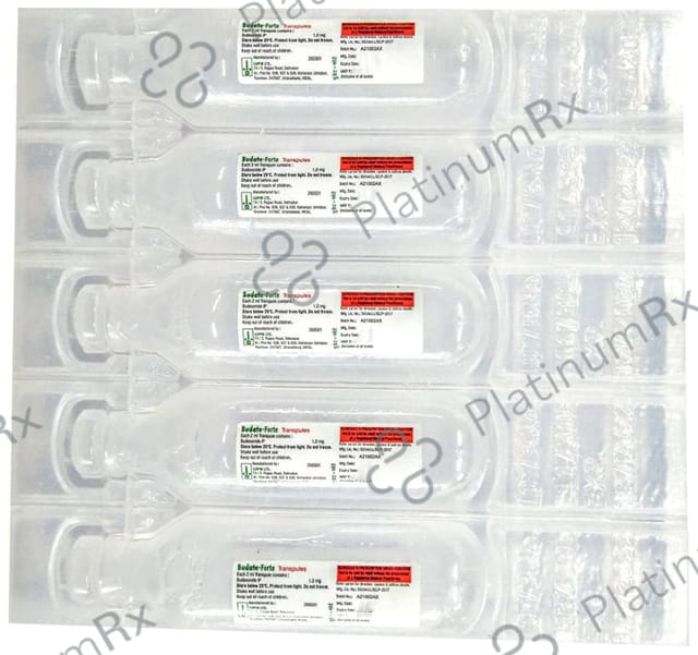 Budate Forte Transpules 2ml