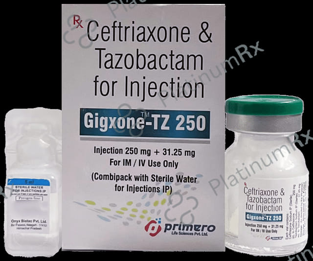 Gigxone TZ 250/31.25mg Injection 1s