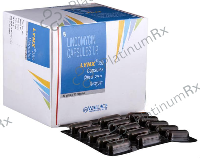 Lynx 250mg Capsule 15s
