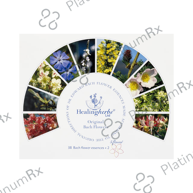 Healing Herbs Bach Flower Remedies Concentrate Stock Kit (10ml Each)