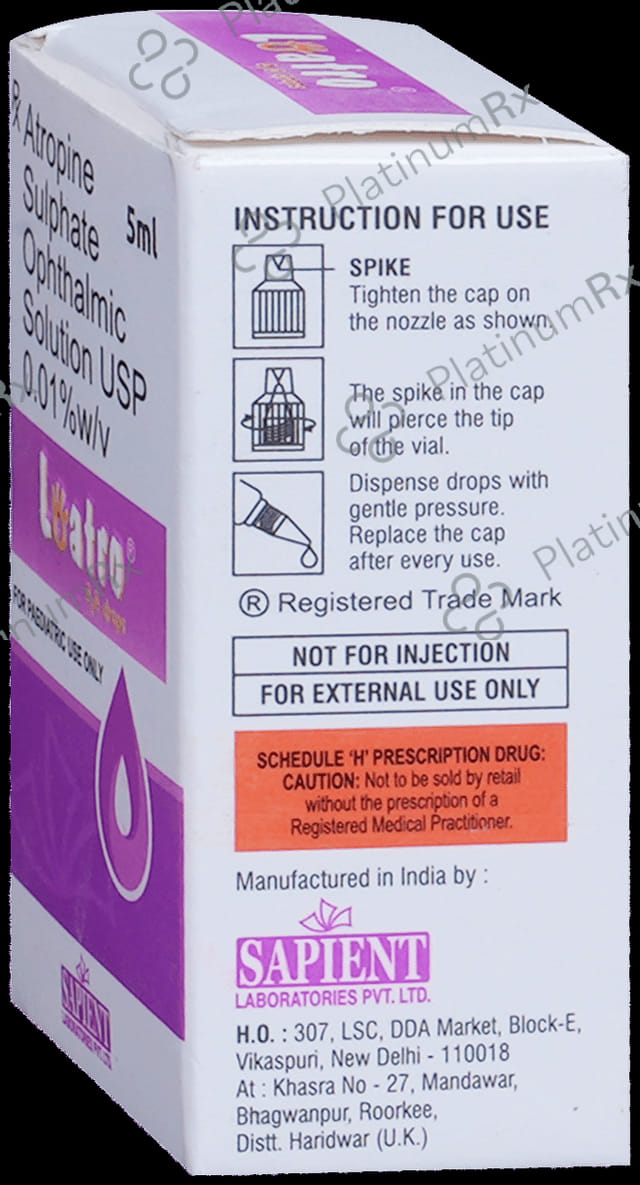Cognolin P 500/400mg Tablet 10s
