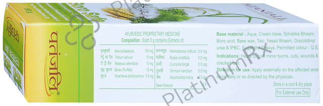 Patanjali Ayurveda Boro Safe Antiseptic Cream