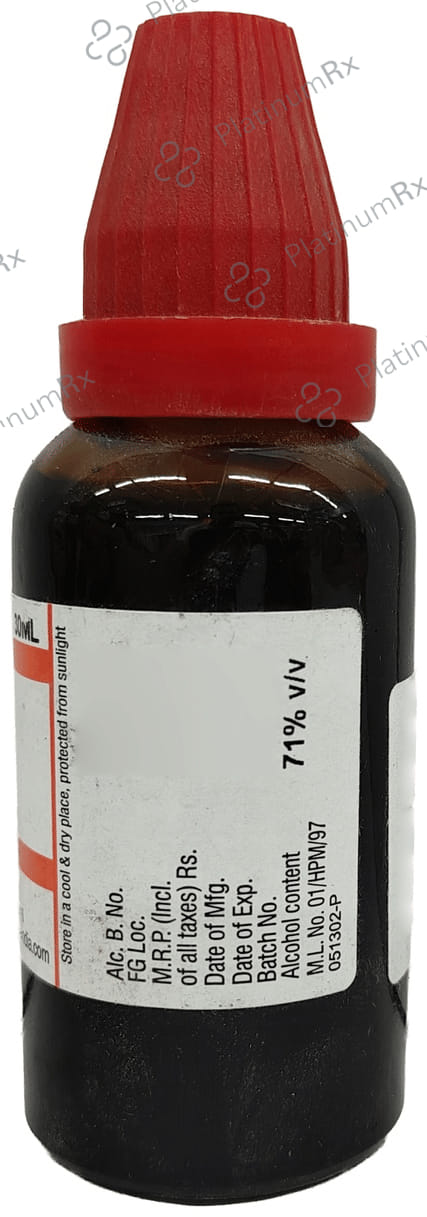 Dr Willmar Schwabe India Ficus Religiosa Mother Tincture Q