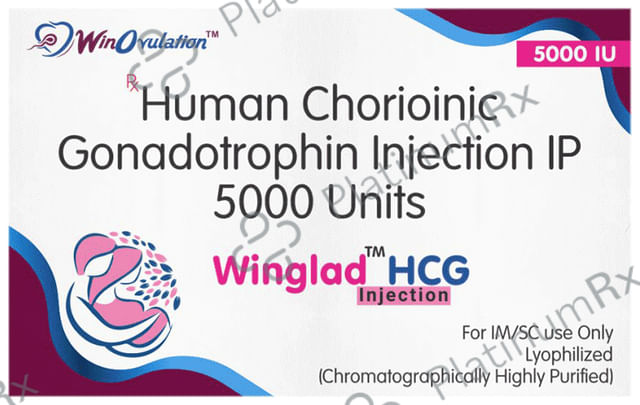 Winglad HCG Injection 1s