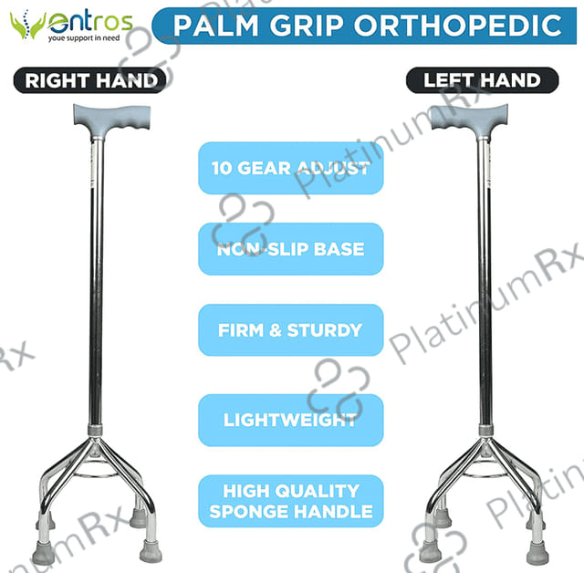 Entros KL 932 Walking Stick