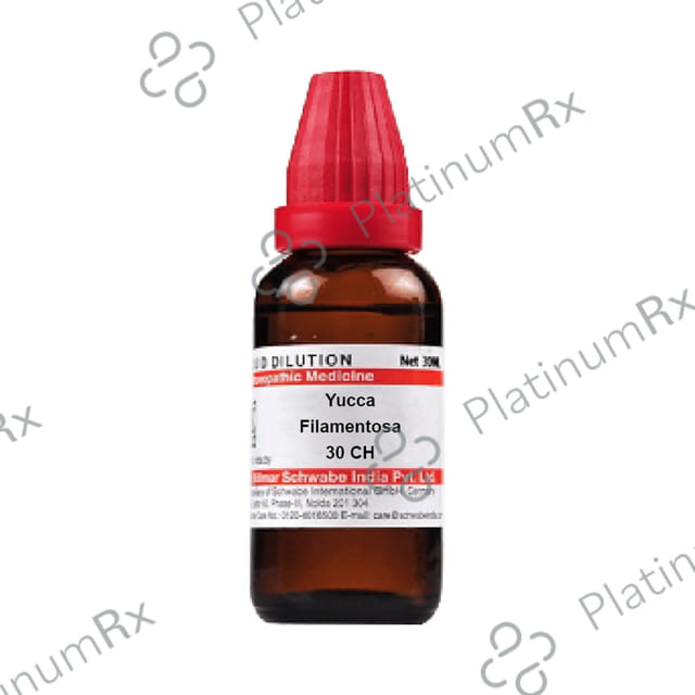 Dr Willmar Schwabe India Yucca Filamentosa Dilution 30 CH