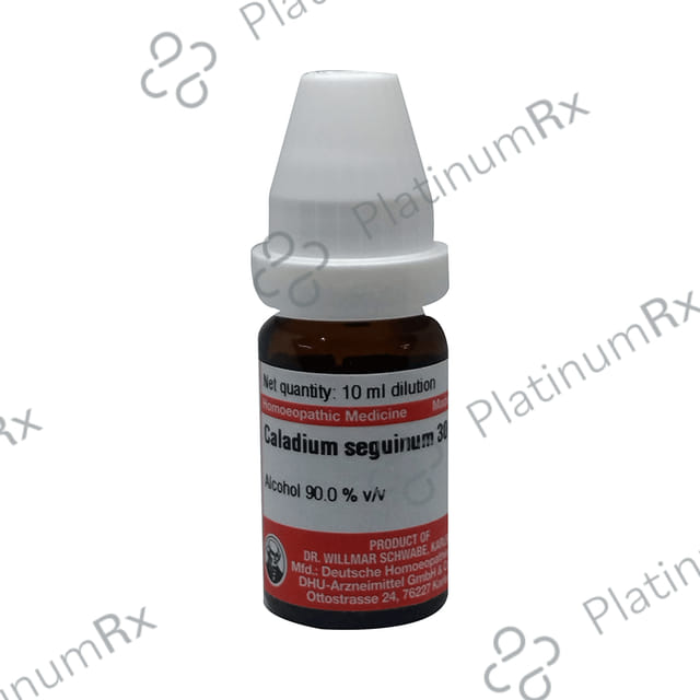 Dr Willmar Schwabe Germany Caladium Seguinum Dilution 30