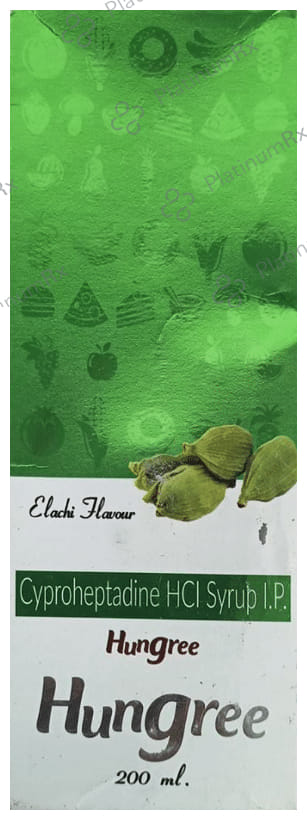 Hungree Syrup Elaichi Flavour