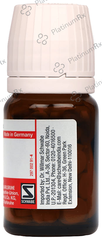 Dr Willmar Schwabe Germany Titanium Trituration Tablet 3X
