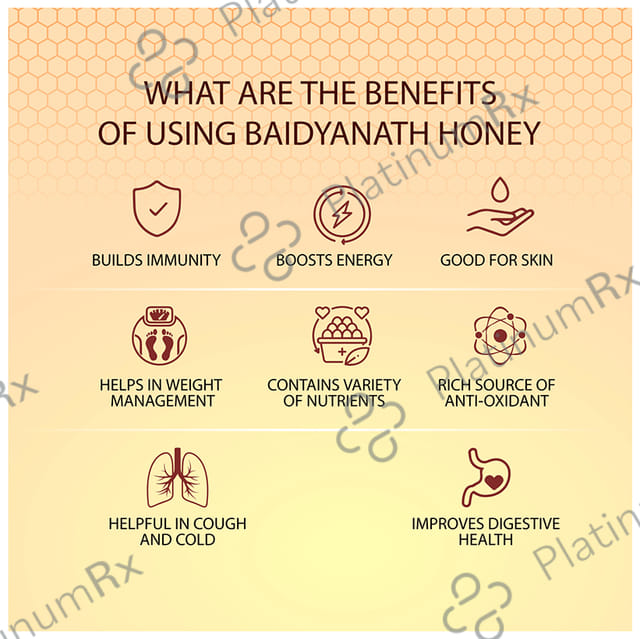 Baidyanath No Sugar Adulteration Honey 500gm