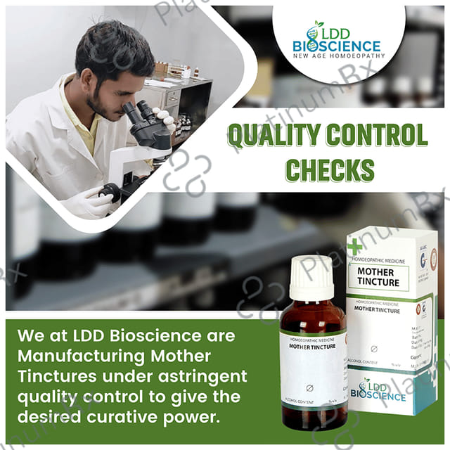 LDD Bioscience Bryonia Alba Mother Tincture Q 100 ml