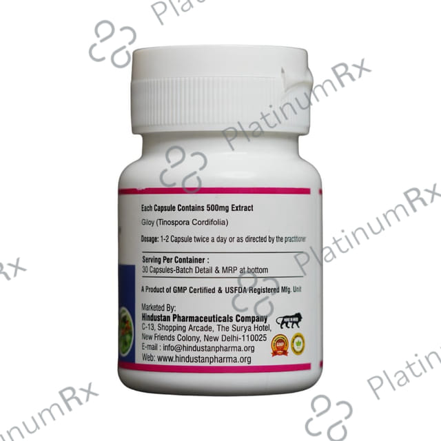 Hindustan Care & Cure Giloy Capsule