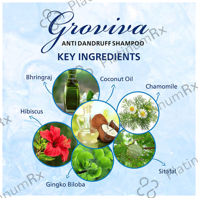 Groviva Anti Dandruff Shampoo (300ml Each) 1 Bottle