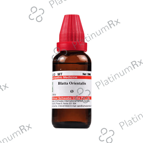 Dr Willmar Schwabe India Blatta Orientalis Mother Tincture Q