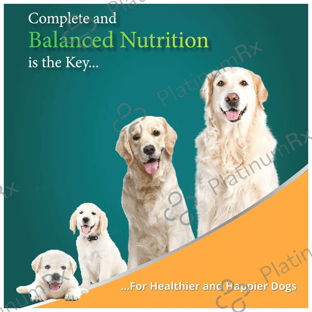 Himalaya Healthy Puppy's Digestion Chicken & Rice  Pet Food 3kg