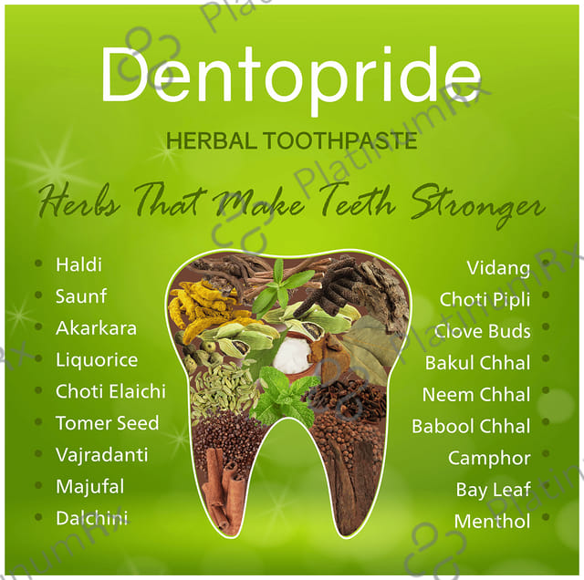 Dentopride Herbal Toothpaste (100gm Each) 1 Tube