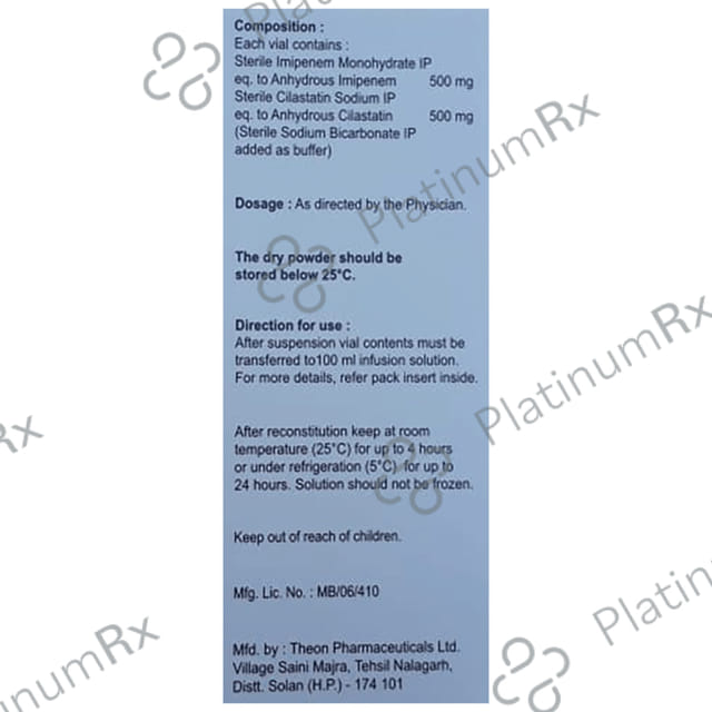 Brodnem IC 500/500mg Injection 1s