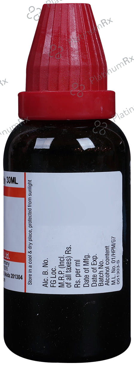 Dr Willmar Schwabe India Carica Papaya Mother Tincture Q