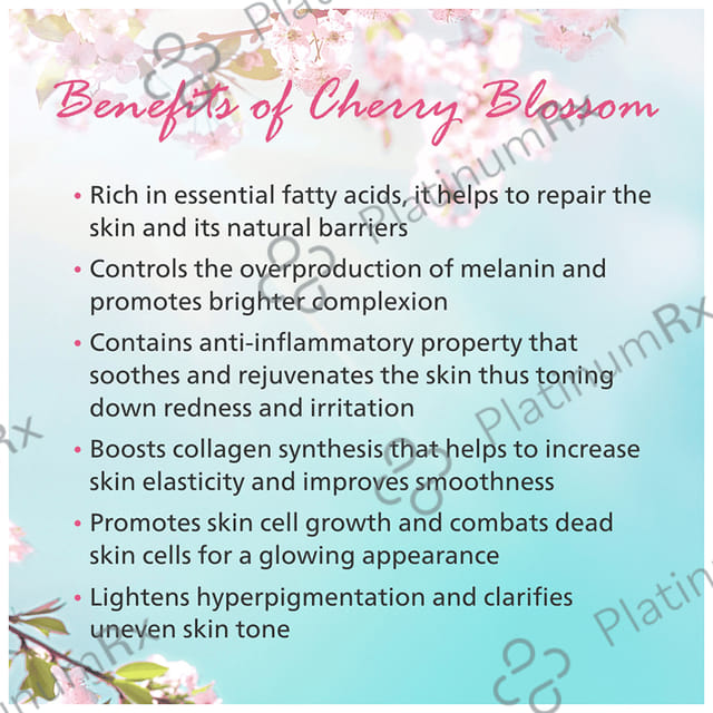 Maxisoft Japanese Cherry Blossom Bathing Bar (75gm Each) 3 units