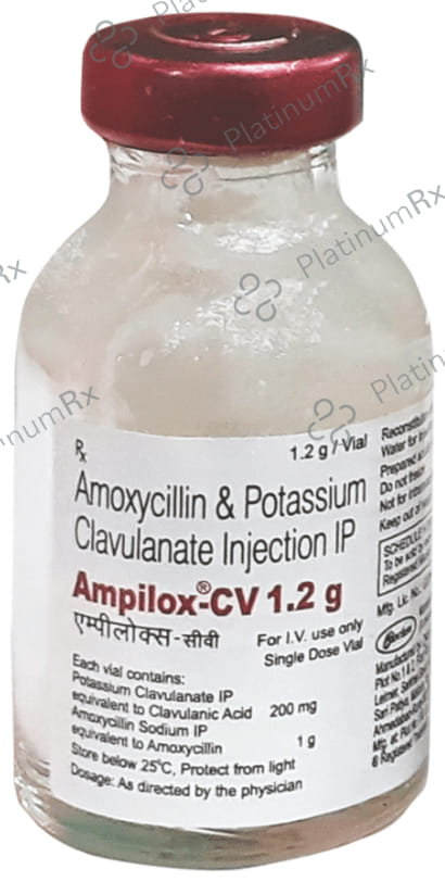 Ampilox CV 1000/200mg Injection 1s
