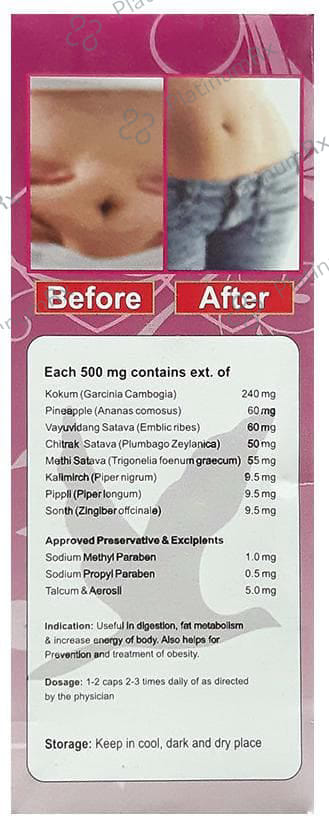 Tummy Free Capsule