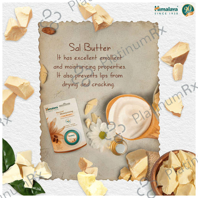 Himalaya Natural Moisturizing Lip Butter
