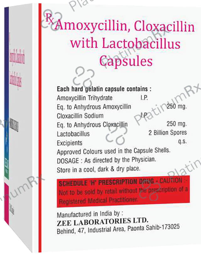 Amoxible CX 500 LB Capsule