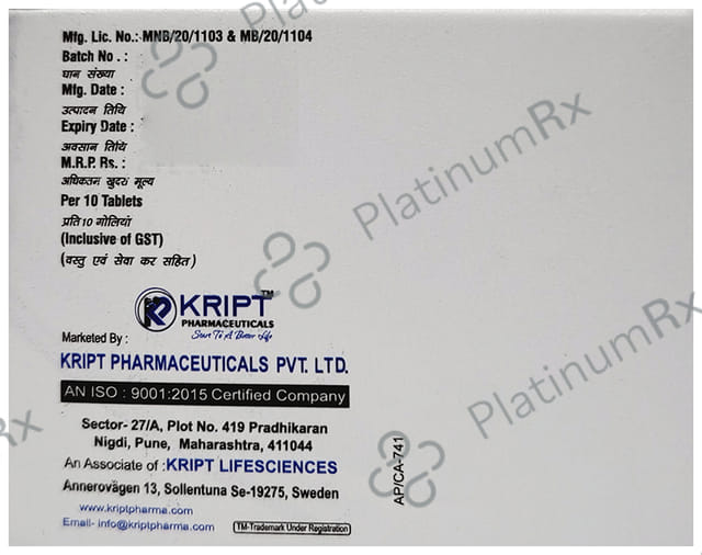Terboript 250 Tablet