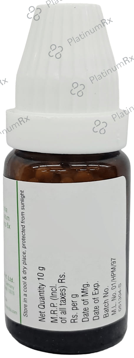 Dr Willmar Schwabe India Nisikind Globules