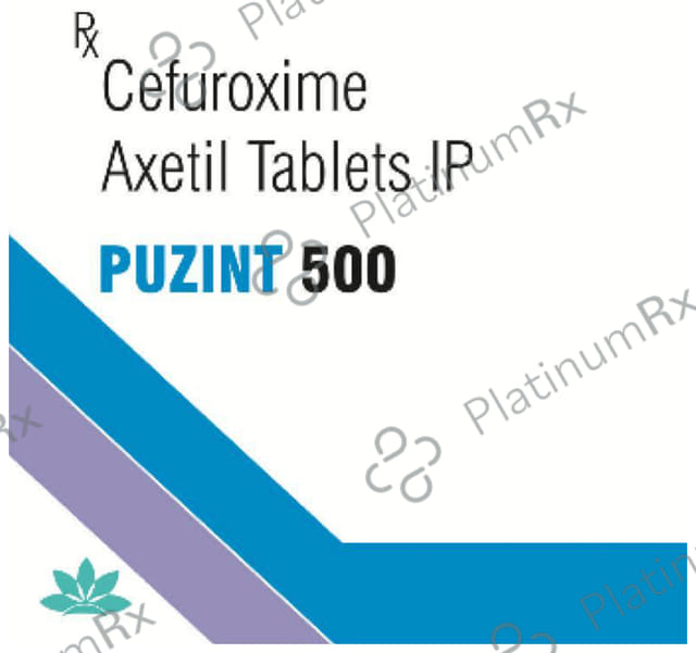 Puzint 500mg Tablet 4s