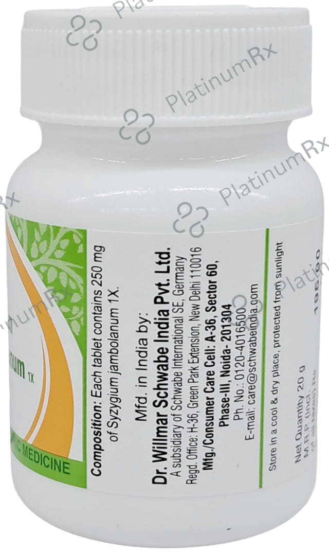 Dr Willmar Schwabe India Syzygium Jambolanum Trituration Tablet 1X