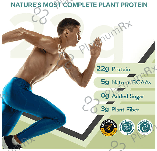 Wellbeing Nutrition Superfood Plant Protein for Muscle Growth & Metabolism - Flavour Powder British Banoffee Pie