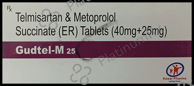 Gudtel-M 25 Tablet ER