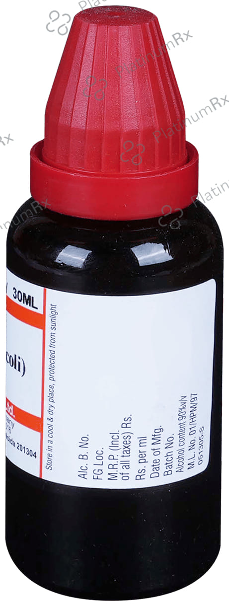 Dr Willmar Schwabe India Bacillus Coli Dilution 200 CH