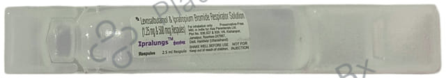 Ipralungs 1.25mg Respules 1X2.5ml