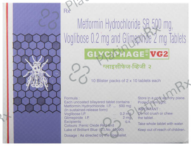 Glyciphage VG 2mg Tablet SR 10s