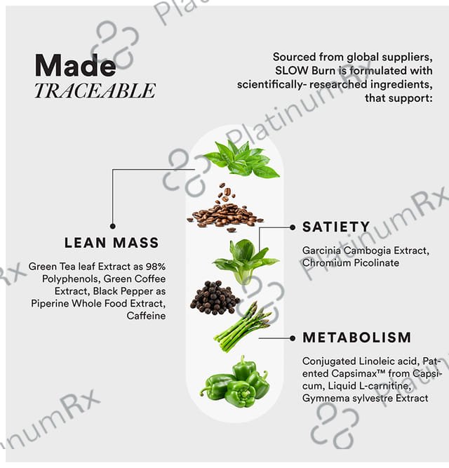 Wellbeing Nutrition Slow Burn with L-Carnitine, Caffeine & Chromium for Weight Management - Capsule
