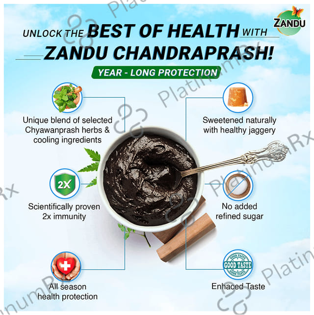 Zandu Chandraprash All Season Protection 900 gm