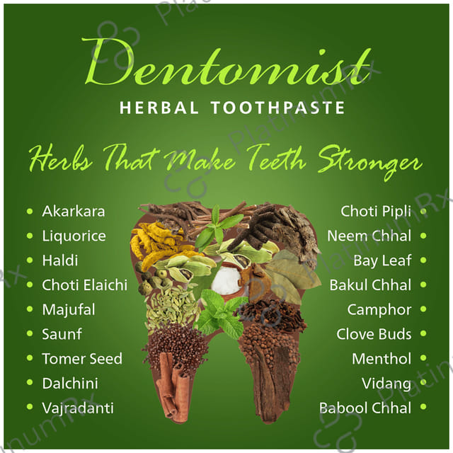 Dentomist Herbal Toothpaste (100gm Each) 1 Tube