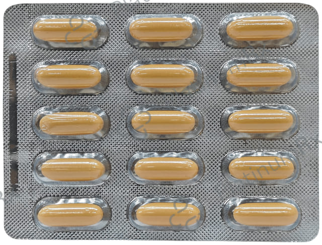 Cartilox GO Capsule 15s