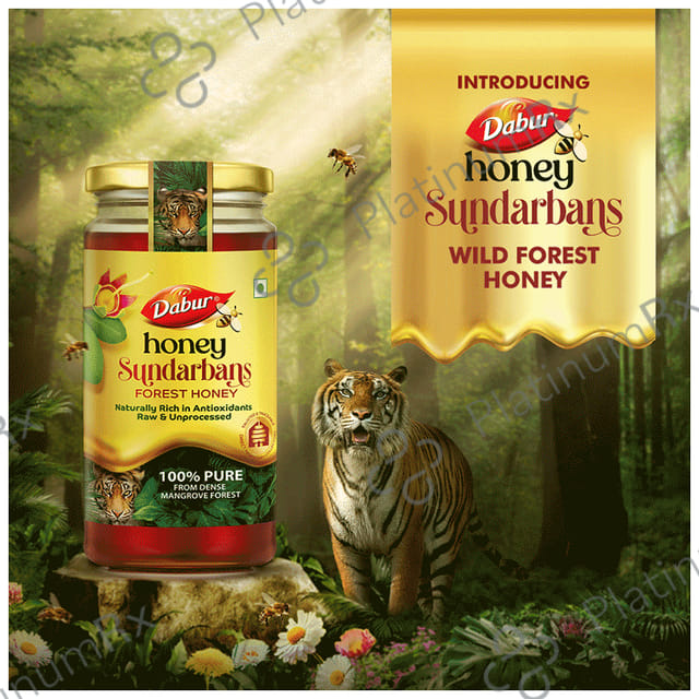 Dabur Sundarbans Forest Honey 100% Pure Honey 500gm