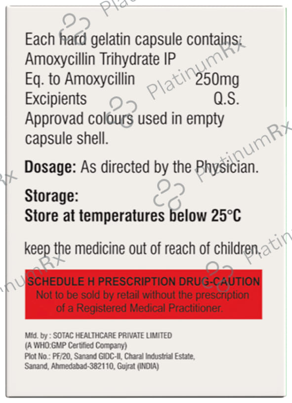 Amoxineta 250 Capsule