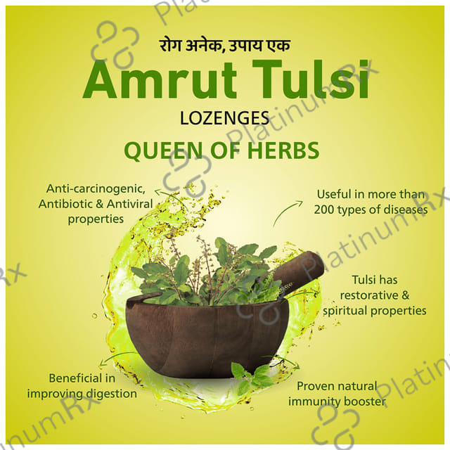 Amrut Tulsi Lozenges (6 Each) Ginger Mint 10 strips