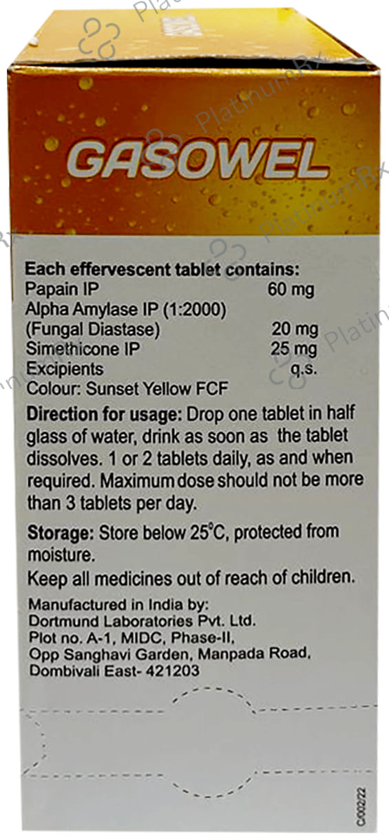 Gasowel Effervescent Tablet 2s