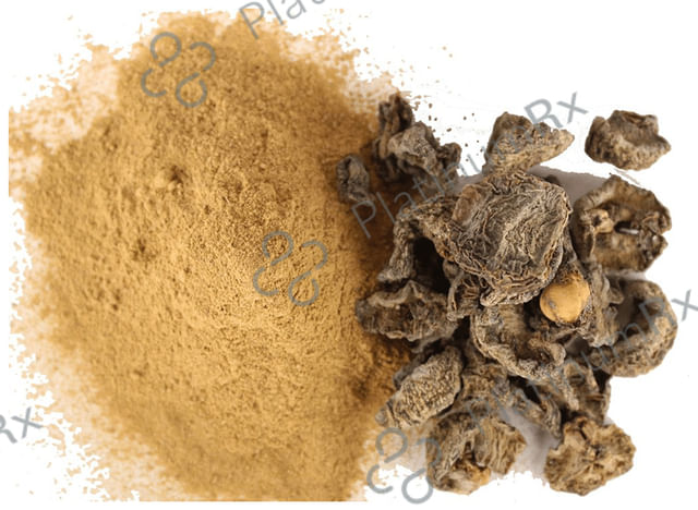 Dark Forest Amla Powder