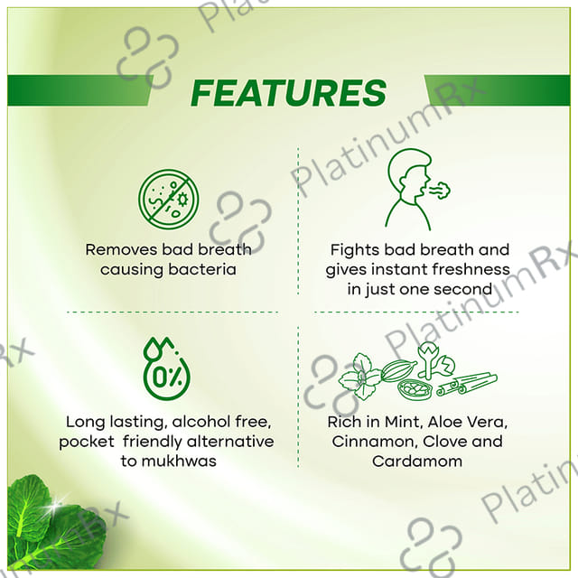 Smyle Sviz Minto Fresh Mouth Freshener Spray Elaichi